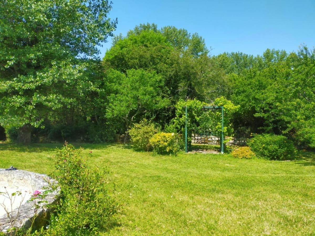 Grande Villa Au Coeur De La Dordogne Paussac-et-Saint-Vivien 外观 照片